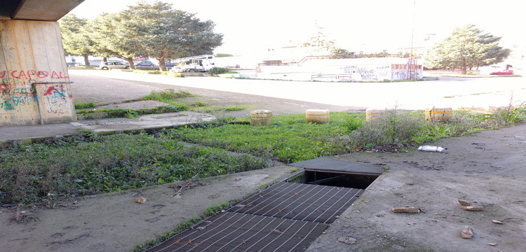 Un “campo rosa” da salvare