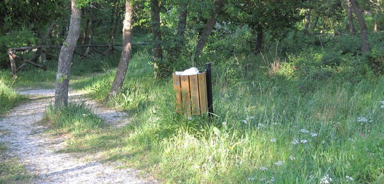 Bosco Giordanello, rifiuti ed erba alta