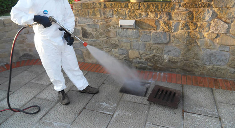 Interventi di disinfestazione e disinfezione nel centro abitato