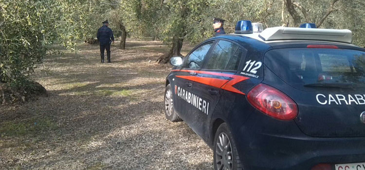 Reati contro il patrimonio, Carabinieri sventano furto in appartamento
