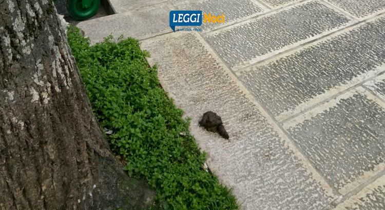 Per una Noci più pulita