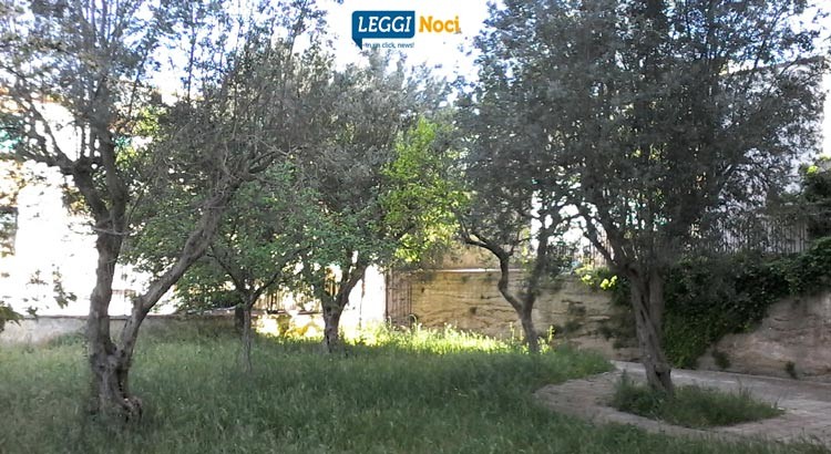 Giornata Nazionale degli Alberi: iniziative in programma anche a Noci