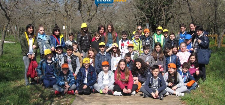 La Scuola nel bosco