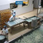delizia-spa-interno-stagionati