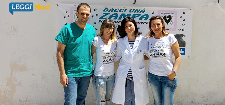 Microchip Day: una giornata per sensibilizzare alla corretta detenzione di un cane padronale