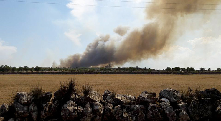 L'incendio a Gioia del Colle
