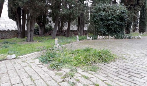 Noci Riparte: riflettori sullo stato di degrado del cimitero comunale