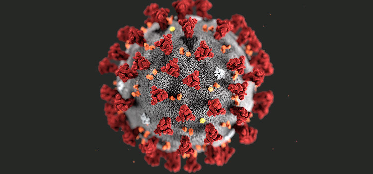 Calano i contagi; vaccini: 5997 dosi somministrate ai nocesi