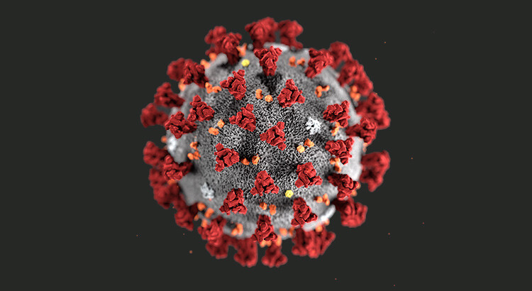 Emergenza Covid-19: contagi in ulteriore calo