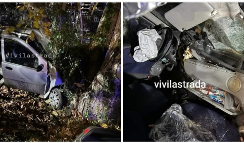 Incidente a Noci: auto si schianta contro un albero